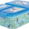 Bluey school lunchbox