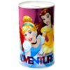 princess piggy bank